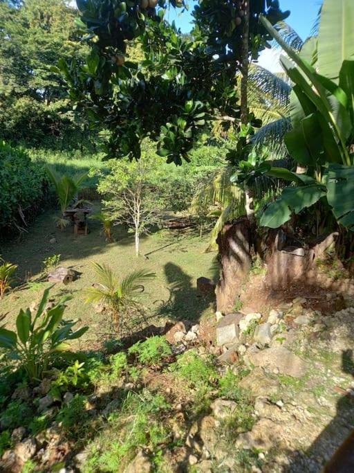 Bungalow Abricot Petit-Bourg Luaran gambar